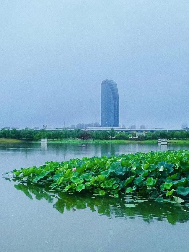 九峰山“画猪”、二妃山赏景，8条光谷跑友私藏路线等你来体验→