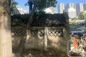 合肥一大树倒下砸中厕所续：大树已被移除图片