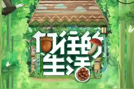 张颂文8.2分新综艺，平替《向往的生活》了吗？图片