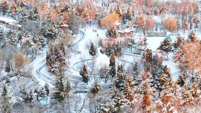 延吉为何长在年轻人的审美上？