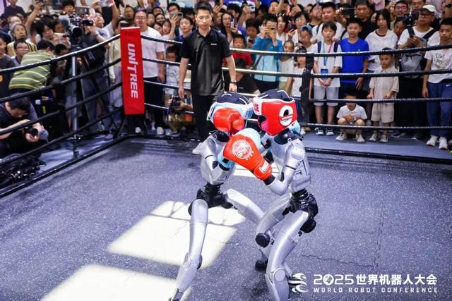 钢铁之躯也有“有趣的灵魂”——2025世界机器人大会观后
