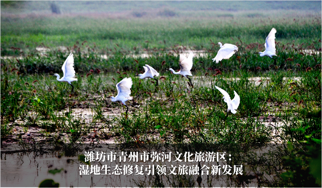 发挥生态优势 促进旅游发展 2024-2025年度山东省生态旅游发展典型案例公布