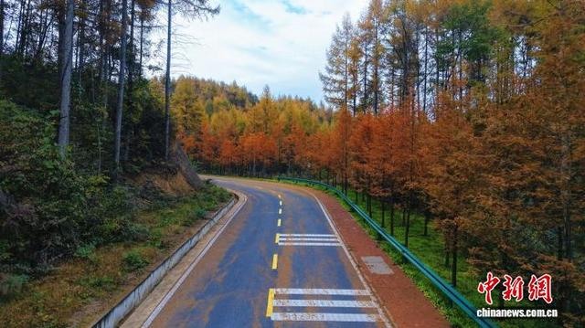 西塞国国家森林公园：绿水青山披“霓裳”