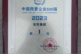 2023中国民营企业500强发布，京东集团蝉联榜首图片