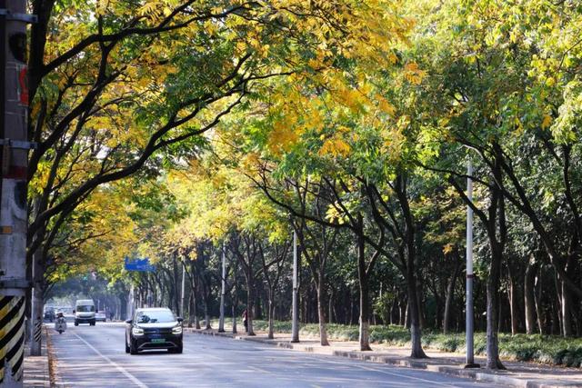 此时，闵行最美的地方就在……