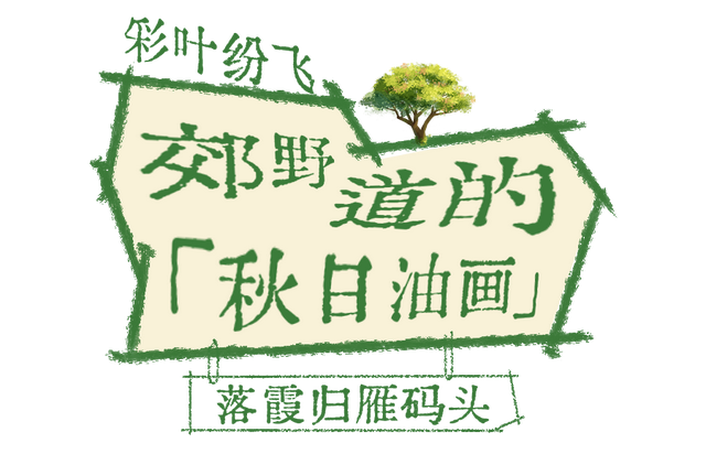 人少景美不绕路，东湖秋日彩蛋上新