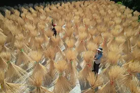 江西广昌头陂镇：竹制品加工按下绿色发展“升级键”图片