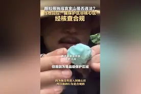 官方回应“颜料师独闯哀牢山”：未进入核心区，行为合规图片