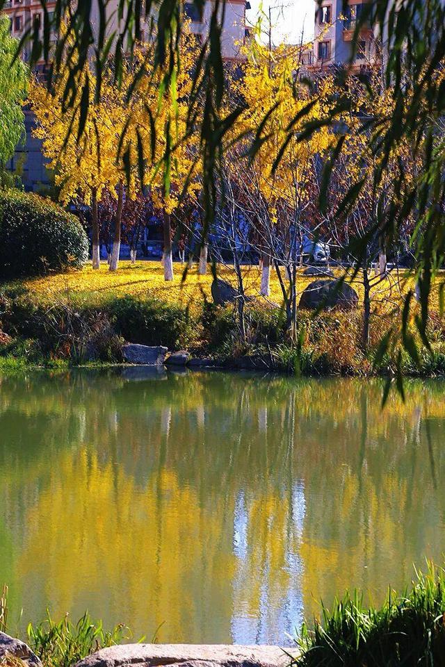 还在找威海初冬小众打卡地？这条河岸藏着惊喜