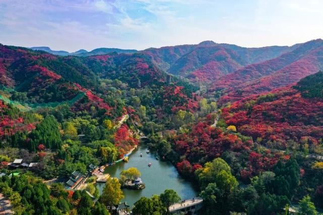 万山红遍正当时！济南红叶谷进入最佳观赏期