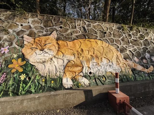 涂鸦上新！快来马鞍山这些公园打卡