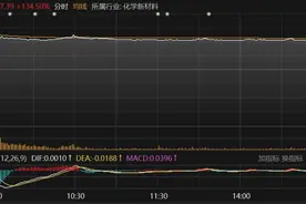 首日收涨134.50%！兴福电子登陆科创板 大基金二期投了图片