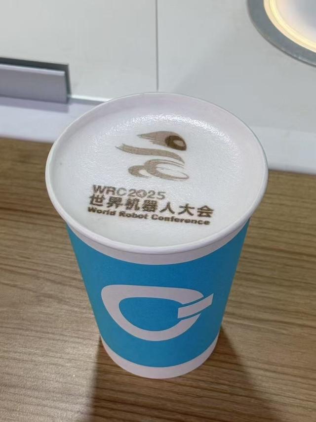 从"炫技"到"真干活"  人形机器人尚缺大脑和数据|聚焦