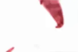 立己之善，成人之美（二）对话郑州中学第三附属小学校长许红伟图片