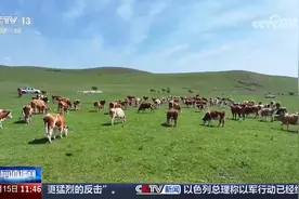 记录草原牧民的夏季转场路 感受人、畜与草原的和谐共生图片