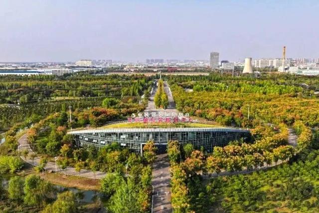 别只惦记红叶了！安徽的秋天，是五彩斑斓的！