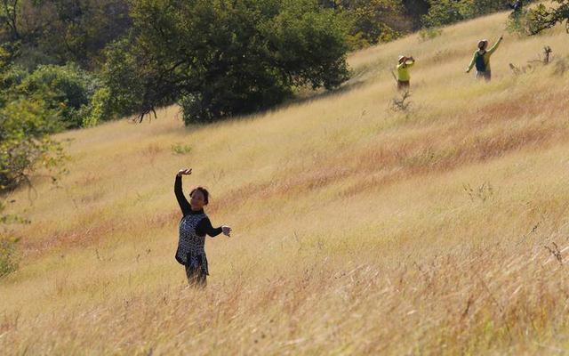 暖游玉溪元江体验“中国萨王纳”的旷野魅力