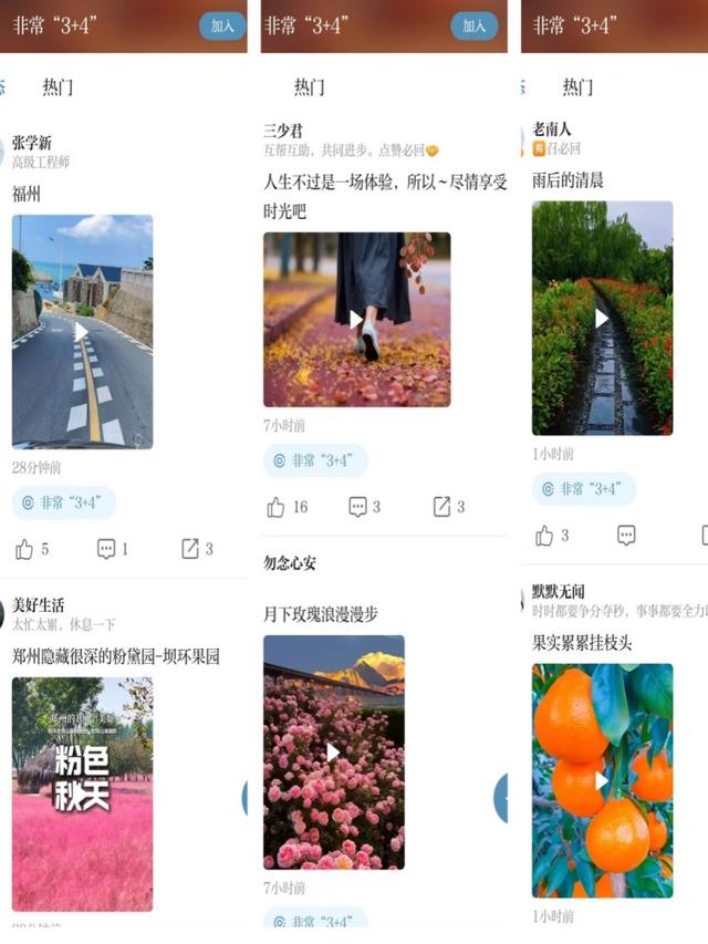 记录假期分享精彩  玩转圈号更有“味”|月满华诞8天乐