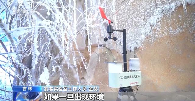 从冬日童话到四季可赏 科技让雾凇美景不再“可遇不可求”