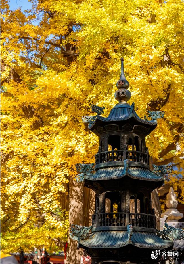 组图丨一大波美图来袭！泰山景区9个赏秋地超出片