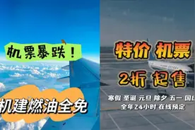 千万别买！超低价机票可能是“黑票代”图片