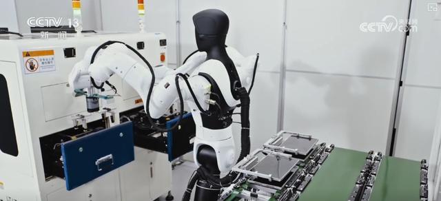 撸猫、喂养、夹豆腐，不在话下！人形机器人应用场景遍地开花 催生消费新业态