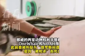 “俄罗斯间谍白鲸”死因公布：被枪杀致死！图片