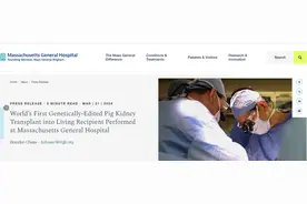 全球首例猪肾移植患者去世！异种移植活不过2个月？专家发声图片