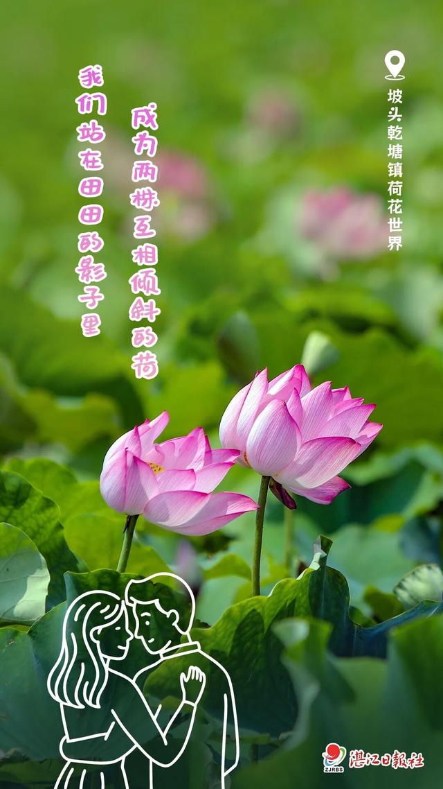 今天，湛江给你写了一封情书！爱了爱了~