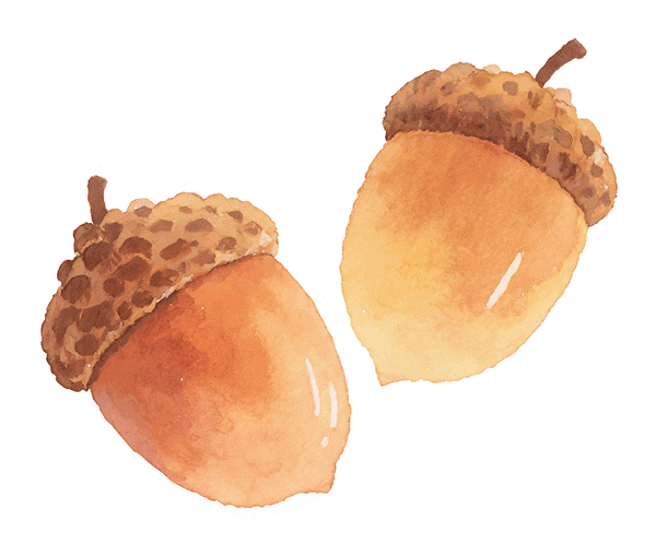 这个周末，我要去趟句容