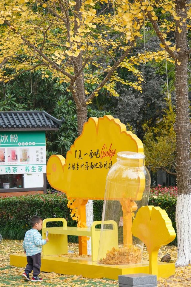 11月，是时候来一趟徐州了