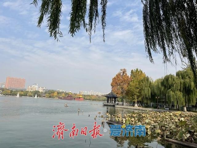 层林尽染入眼皆画 大明湖的初冬“皮肤”已上线