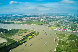 聚焦“大零号湾”：在“浦江第一湾”点燃科创引擎图片