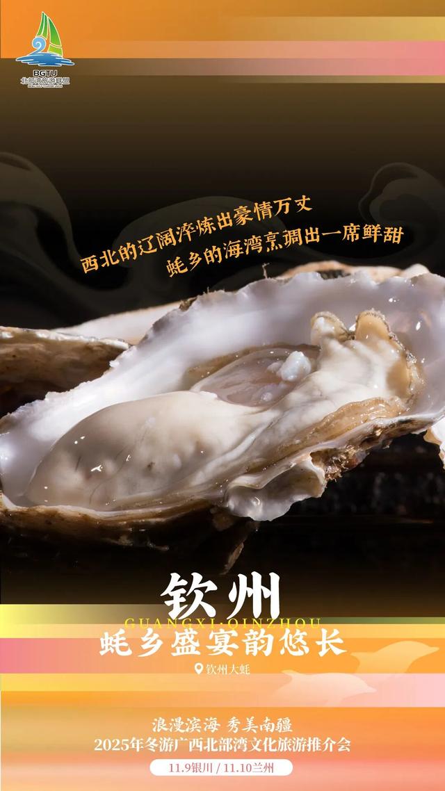 “浪漫滨海 秀美南疆”——2025年冬游广西北部湾文化旅游推介会（银川专场）圆满举行