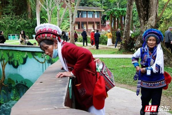 岁暖时刻丨西双版纳森林公园：彩裙碰彩伞，傣风裹着蕉香漫