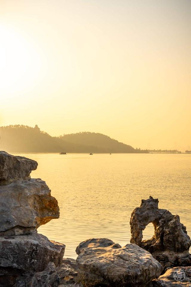 东湖冬日必打卡！观“雪”景、赏秋色、追落日！