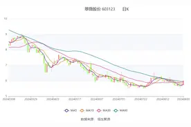 翠微股份：2024年上半年亏损2.38亿元图片