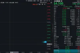 小米集团股价大跌，拟配售8亿股股份，筹资约425亿港元图片