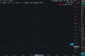 小米集团股价大跌，拟配售8亿股股份，筹资约425亿港元图片