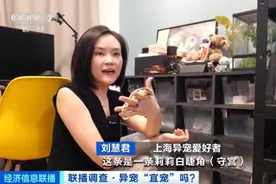 可不能轻易宠！非洲大蜗牛、黑犁牛头犬蚁⋯部分年轻人爱上养“异宠”？图片