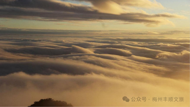 又火了！丰顺铜鼓峰“四大”景观，到底有多美？