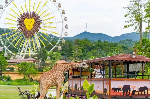 来清远的理由，不止这一个