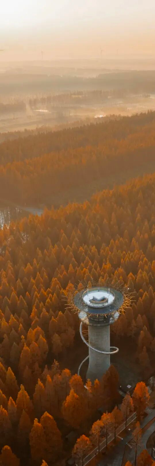 大雪了，你什么时候回盐城啊？