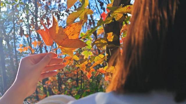 石林的冬天，藏着“延迟版”秋景
