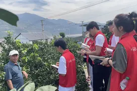 一堂开在田间地头的“大思政课”图片