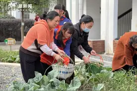 劳动课上，爸爸妈妈和孩子齐上阵，这样的劳动果实真的特别甜图片