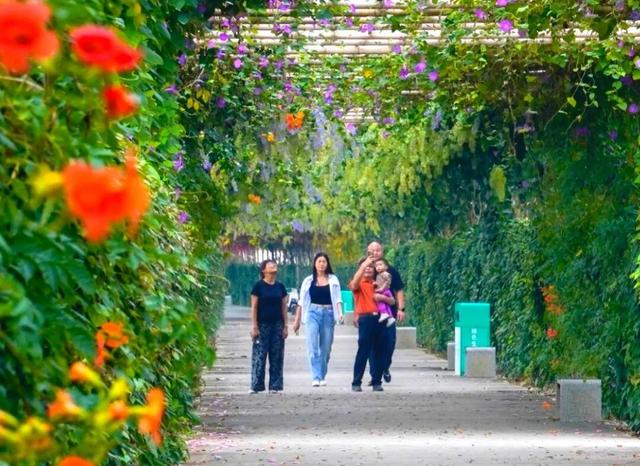 看稻田、赏繁花，邂逅南沙的秋日浪漫→