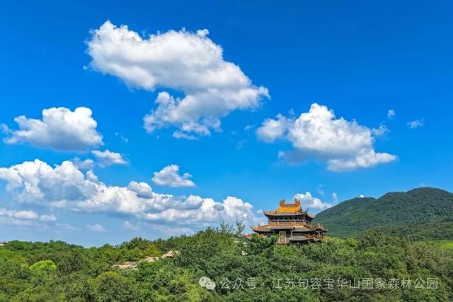 电影票根别扔！句容这些景区免费玩