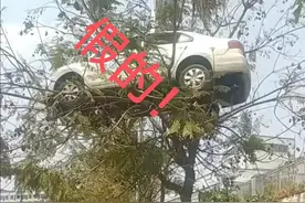 大反转！竟是假的，确认摆拍！图片