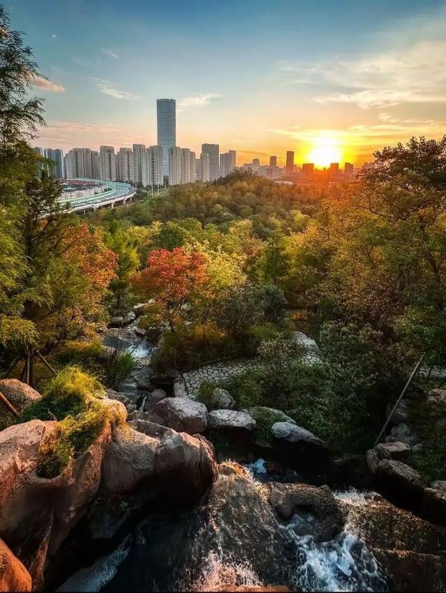 去爬山！这些五彩山林，竟然都在上海！